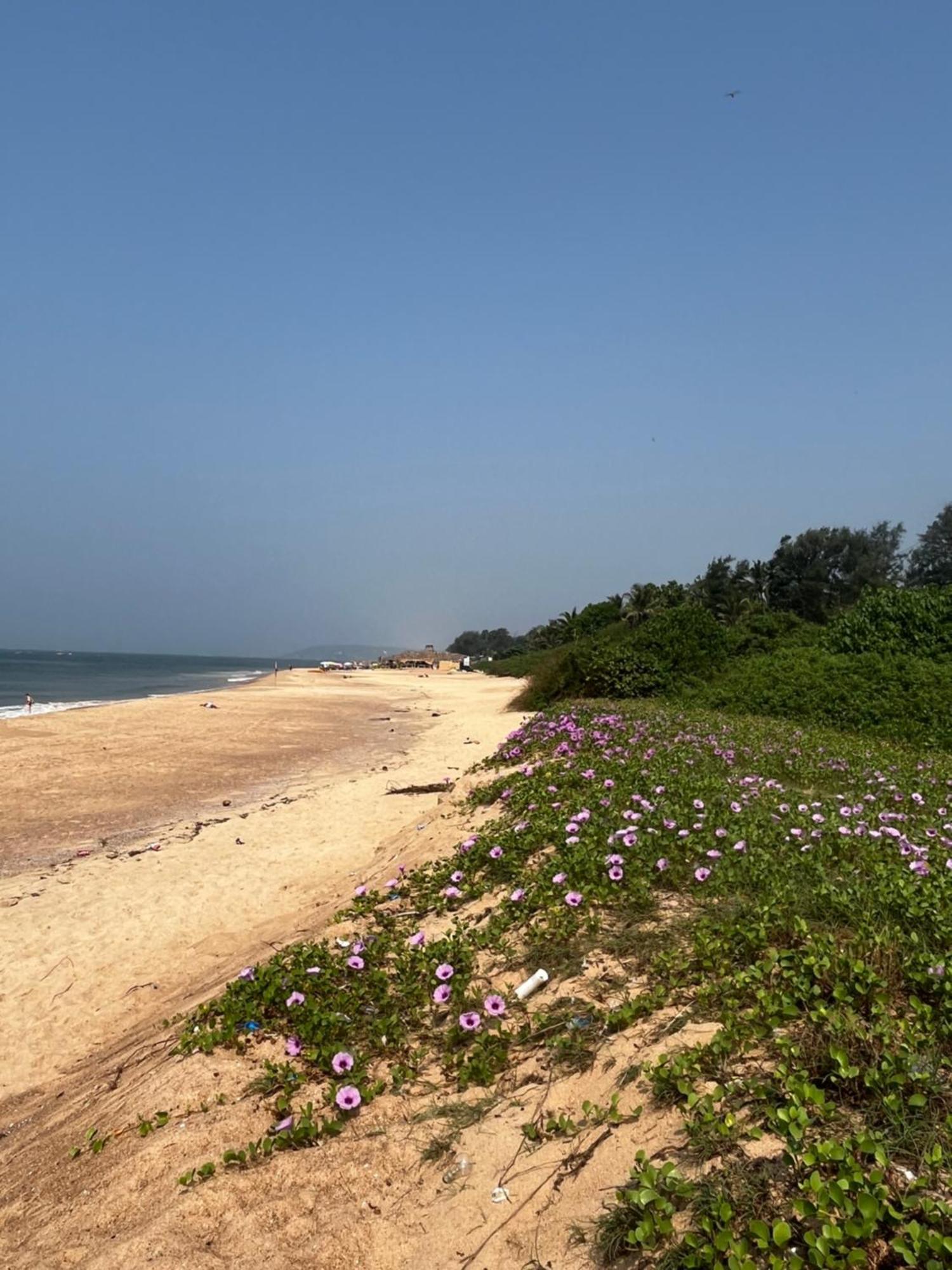Coco Inn Goa Candolim Exterior foto