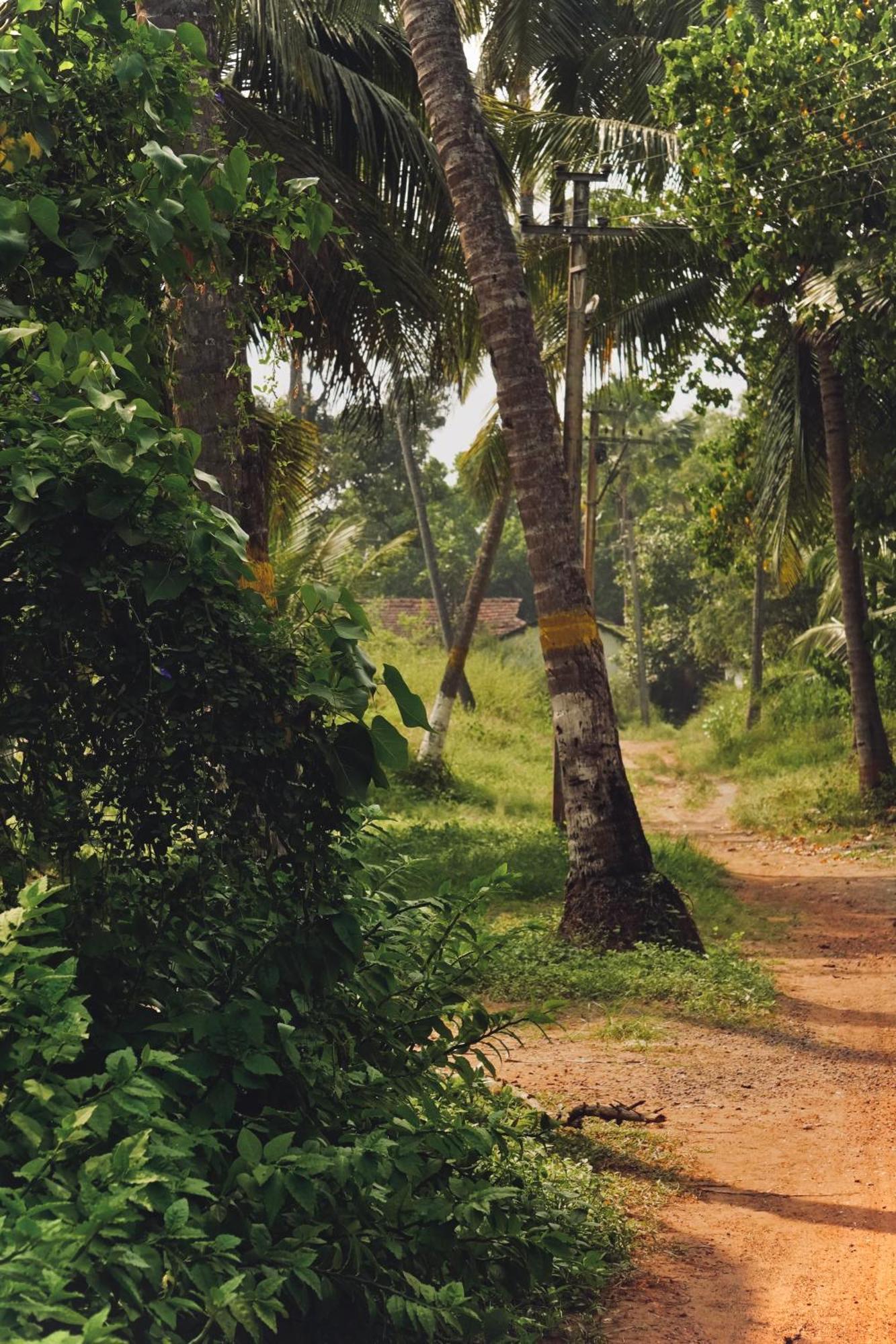 Coco Inn Goa Candolim Exterior foto